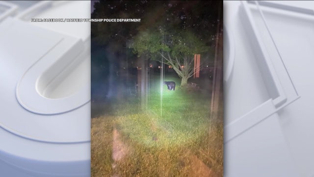 Bear on the loose in Montgomery County, officials say