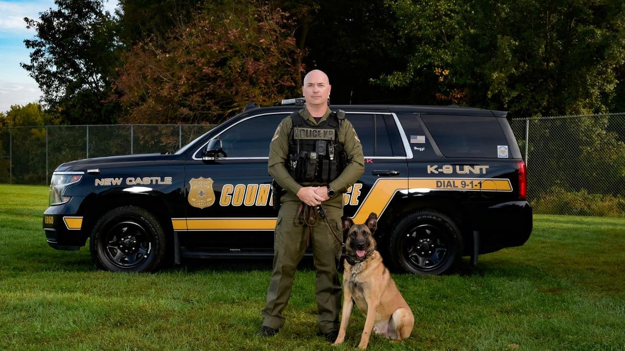 what happens to k9 dogs when they retire