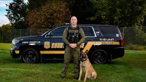 Very good boys: Hero police dogs retire after serving, protecting Delaware community