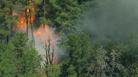 Officials: Firefighters 'making substantial progress' containing massive wildfire in New Jersey