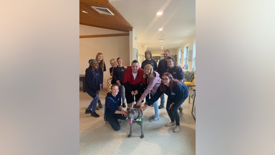 Going home: Longest resident at N.J. animal shelter finally gets adopted