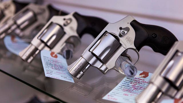 Delaware House votes to raise minimum gun purchase age to 21