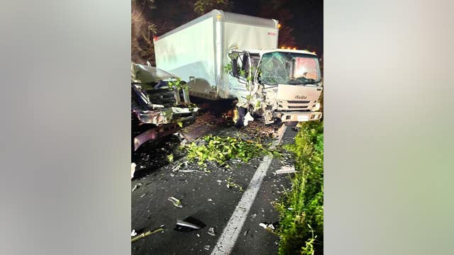 'Alcohol suspected' after van crashes into box truck on Bucks County road, police say