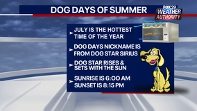 'Dog Days of Summer': What are they, and what do they mean?