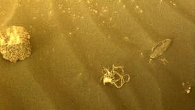 NASA Mars rover discovers weird string-like object that goes viral