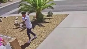 Las Vegas attempted murder caught on video: Homeowner narrowly escapes being shot after suspect’s gun jams