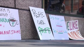 'We are the power': Philadelphia Starbucks workers go on strike to unionize