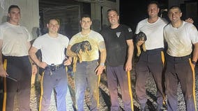 New Jersey state troopers rescue 3 puppies from 10-foot trench using mop, rope