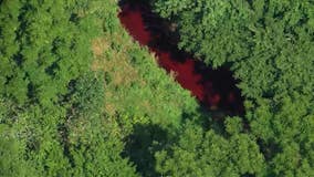 Portion of Pennsauken Creek runs red after food dye discharged from nearby plant, officials say