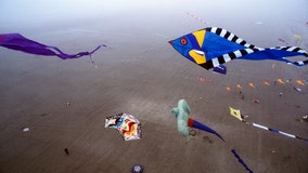 Enjoy dynamic scenes in the sky at the Jersey Shore with Wind Wolves Traveling Kite Show