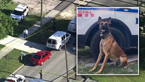 Lake Wales K-9 'murdered' in line of duty, officials say; suspect shot and killed by officers