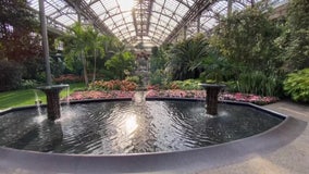 Artist Bruce Munro presents 'Light: Installations' at Longwood Gardens