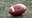 Cheltenham High School football season canceled amid hazing investigation