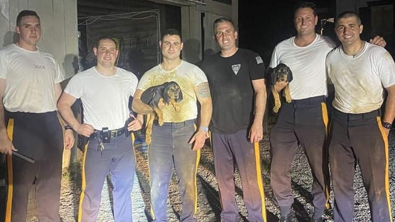 New Jersey state troopers rescue 3 puppies from 10-foot trench using mop, rope