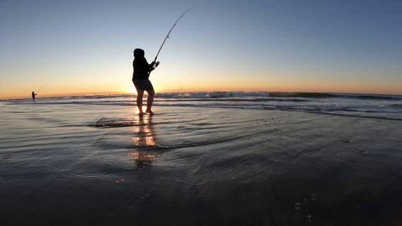 New Jersey shore town bans fishing for sharks from the beach