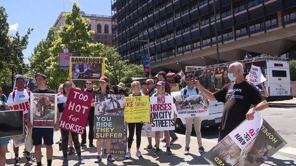 Animal rights activists call for ban on horse-drawn carriages in Philadelphia