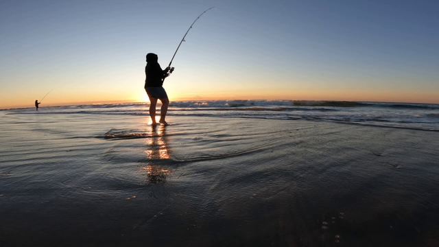 New Jersey shore town bans fishing for sharks from the beach