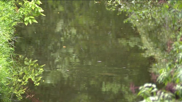 Bucks County spraying for West Nile virus in communities it's been found
