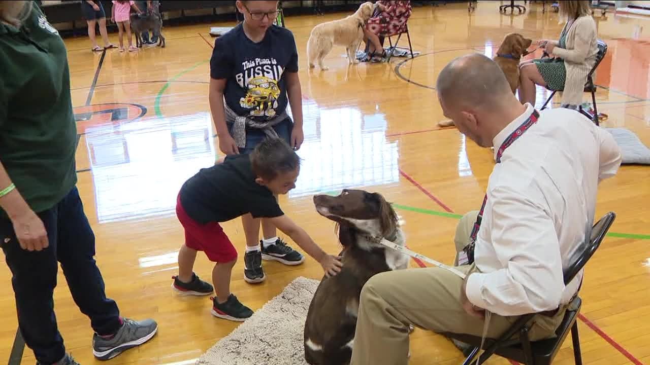 Local school districts turn to therapy dogs to benefit students' mental health