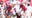 Rutgers defense holds on to defeat Temple 16-14