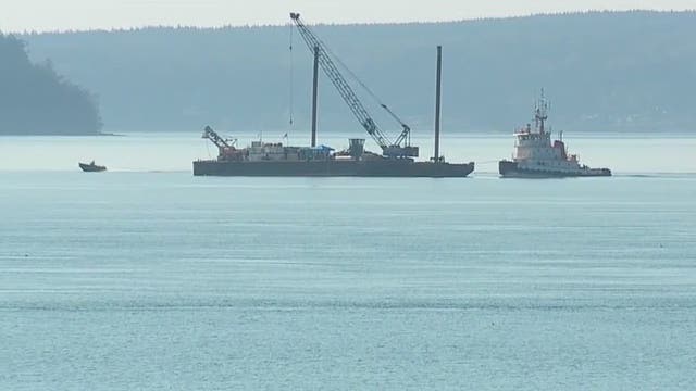 Remains of 7 of 10 killed in Whidbey Island floatplane crash now identified