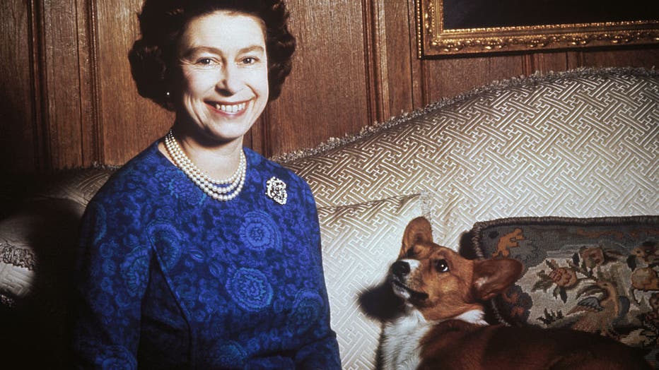 Queen And Corgi