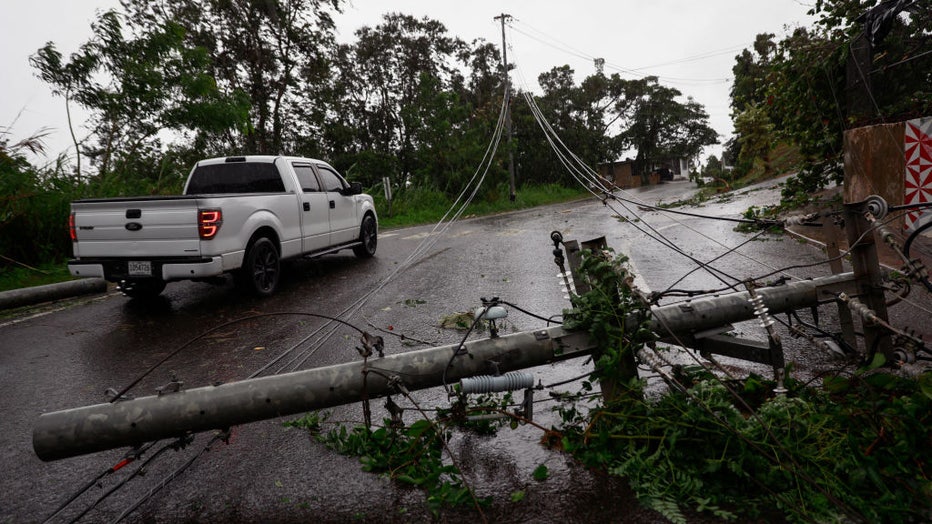 Tree-falls-on-the-ground-Hurricane-Fiona.jpg