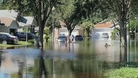 'They need help': Local animal shelter asks for donations for animals in need after Hurricane Ian