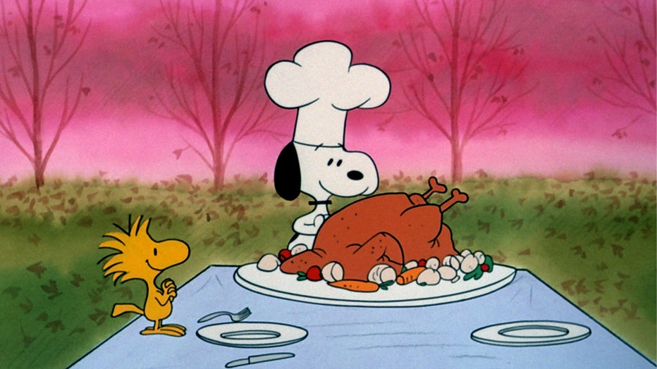 Download Latest HD Wallpapers of  Cartoons A Charlie Brown Thanksgiving