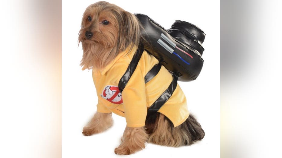 The 34 Best Halloween Costumes for Dogs of 2023