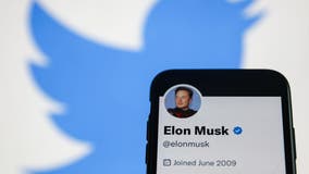 Elon Musk granting 'amnesty' to suspended Twitter accounts