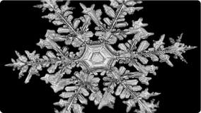 A 12-sided snowflake? Colorado photographer captures unusual snowflake formation