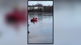 Watch: Firefighters rescue dog that fell through frozen lake in Quakertown