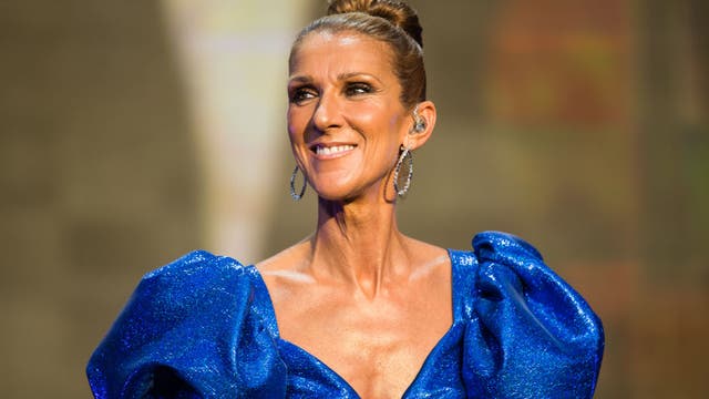 Celine Dion wishes fans 'the best of health' for Christmas after revealing neurological disorder