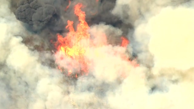 How artificial intelligence could be used to fight wildfires