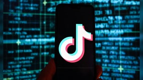 TikTok CEO to testify before Congress on app's privacy, data security