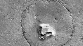 'Bear' on Mars captures internet's imagination