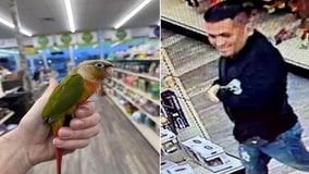 Baby bird taken from New Jersey pet shop found safe, suspect charged