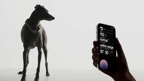 CES 2023: AI smart collar aims to take the guesswork out of your dog’s health with real-time alerts