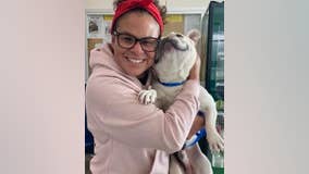 Livermore police reunite French bulldog with SoCal family - a year later