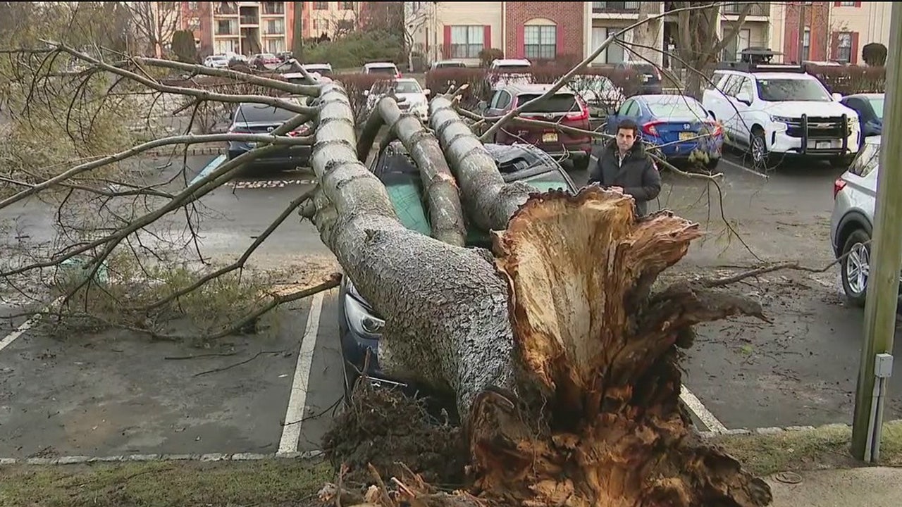 Nautisk Crack pot Aubergine Confirmed tornado leaves widespread damage in New Jersey