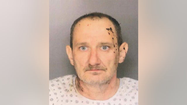 Man hit with Taser, shot by police after crashing stolen car into police cruiser in Chester County: officials