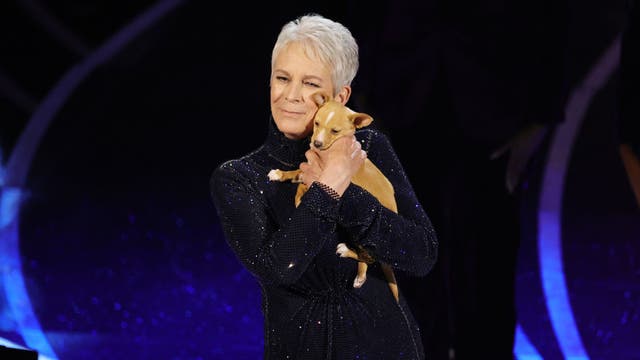 Jamie Lee Curtis' call for earlier concert times attracts attention