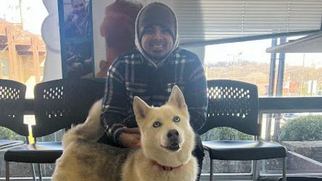 Dog reunited with owner 2,000 miles away thanks to microchip
