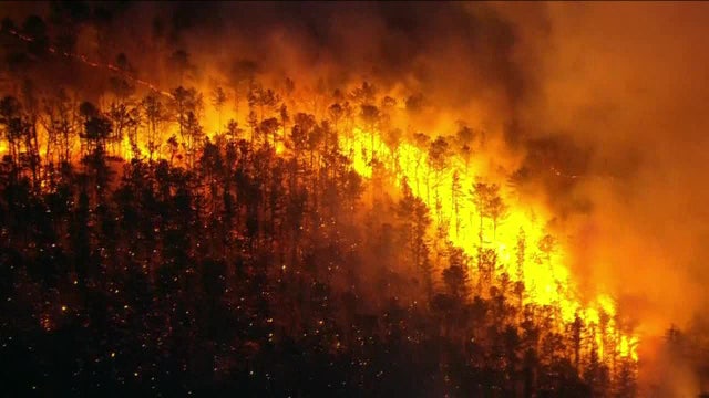 Wildfire that torched over 400 acres of New Jersey Pinelands is contained, officials say