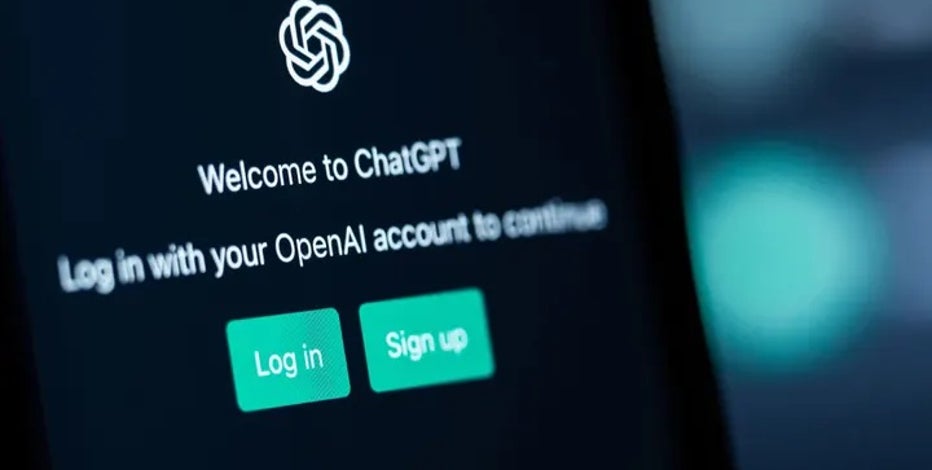 Elon Musk, Apple co-founder, other tech experts call for pause on 'giant AI experiments': 'Dangerous race'