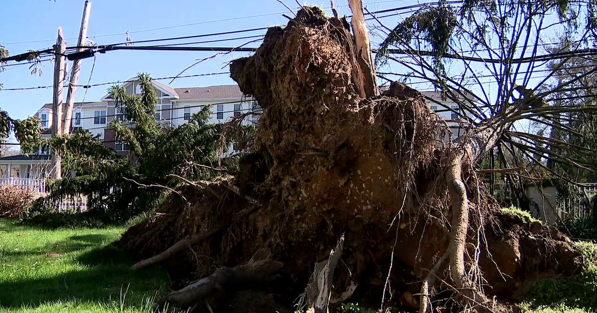 NWS confirms 8 tornadoes in NJ, Pennsylvania and Delaware as ...