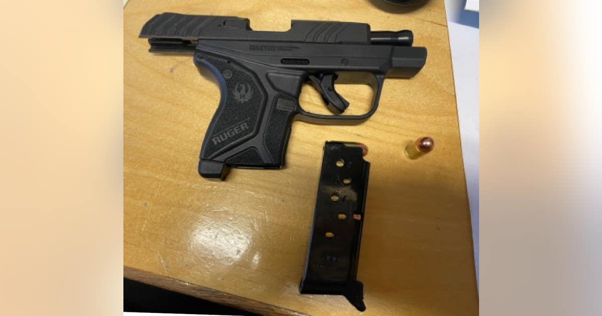 Florida man arrested after loaded handgun found in carry-on bag at ...