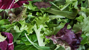 FDA warns not to eat these salads after lettuce recalled for listeria concerns