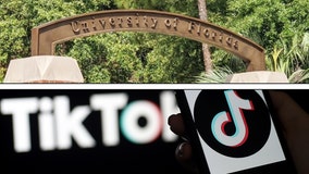 University of Florida bans TikTok on school devices and Wi-Fi, 'effective immediately'